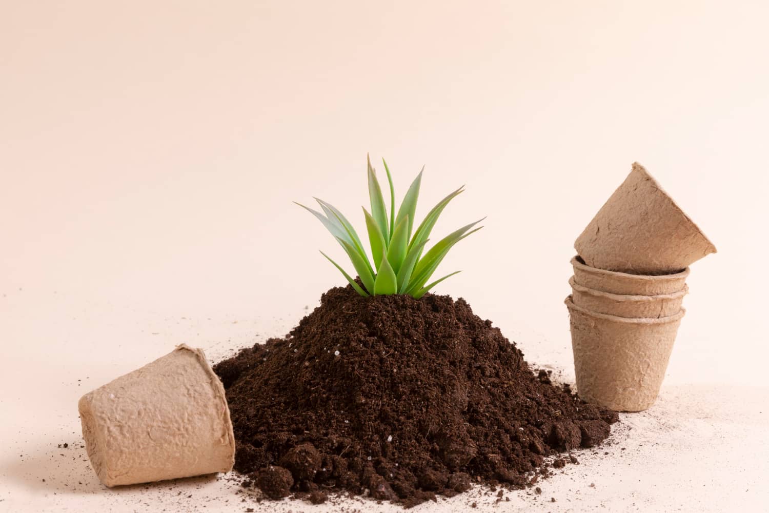 What Is Loam Soil & Why It's Good For Growing Healthy Plants