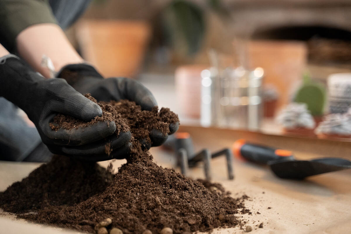 What Makes Loam Soil Ideal For Gardening And Growth?