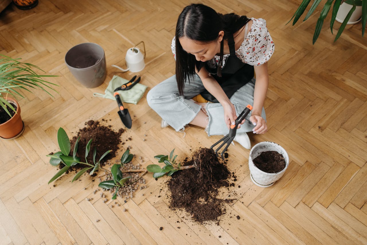 What Is Loam Soil & Why It's Good For Growing Healthy Plants